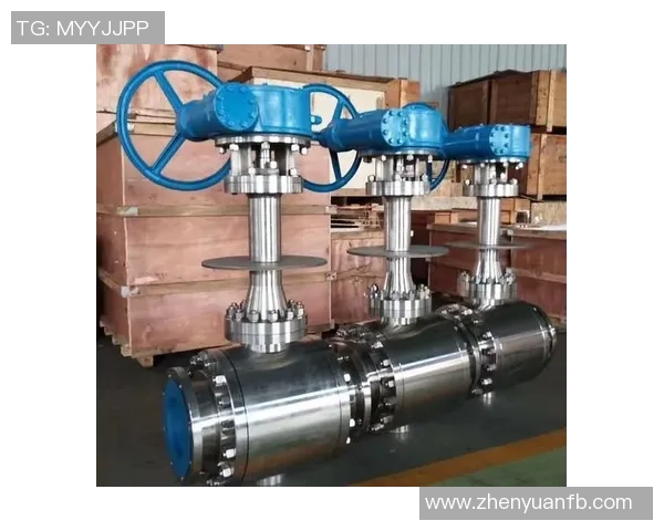 数据分析视角下LNG市场意识的表现与趋势探讨 数据分析视角下LNG市场意识的表现与趋势探讨