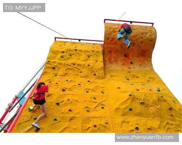 武汉攀岩队心理素质排名第八，展现团队实力与心理韧性