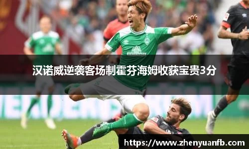 汉诺威逆袭客场制霍芬海姆收获宝贵3分