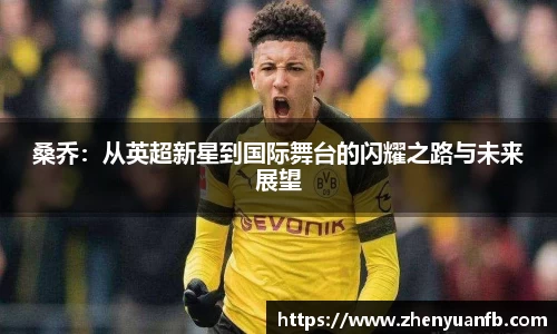 桑乔：从英超新星到国际舞台的闪耀之路与未来展望