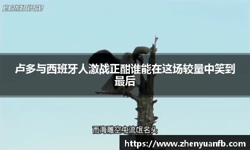卢多与西班牙人激战正酣谁能在这场较量中笑到最后