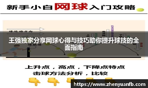 王强独家分享网球心得与技巧助你提升球技的全面指南