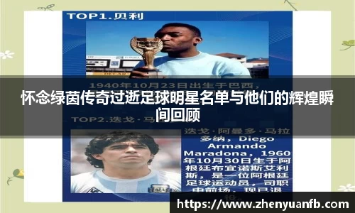 怀念绿茵传奇过逝足球明星名单与他们的辉煌瞬间回顾
